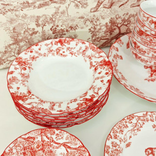 Столовый сервиз Christian Dior Toile de Jouy 6 персон
