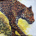 Плед Hermes Panthera Pardus
